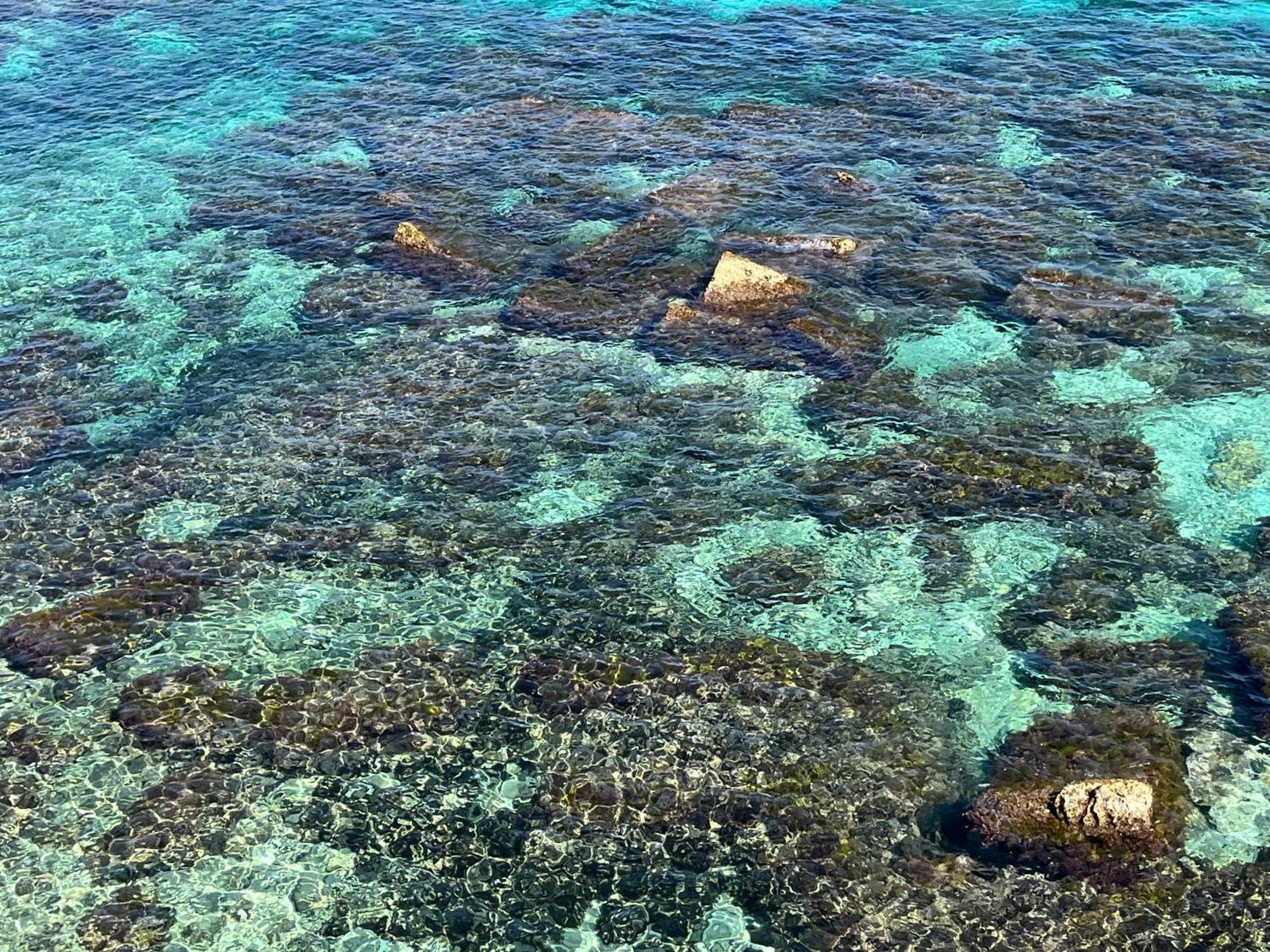 Casa vacanze Magica Ortigia *